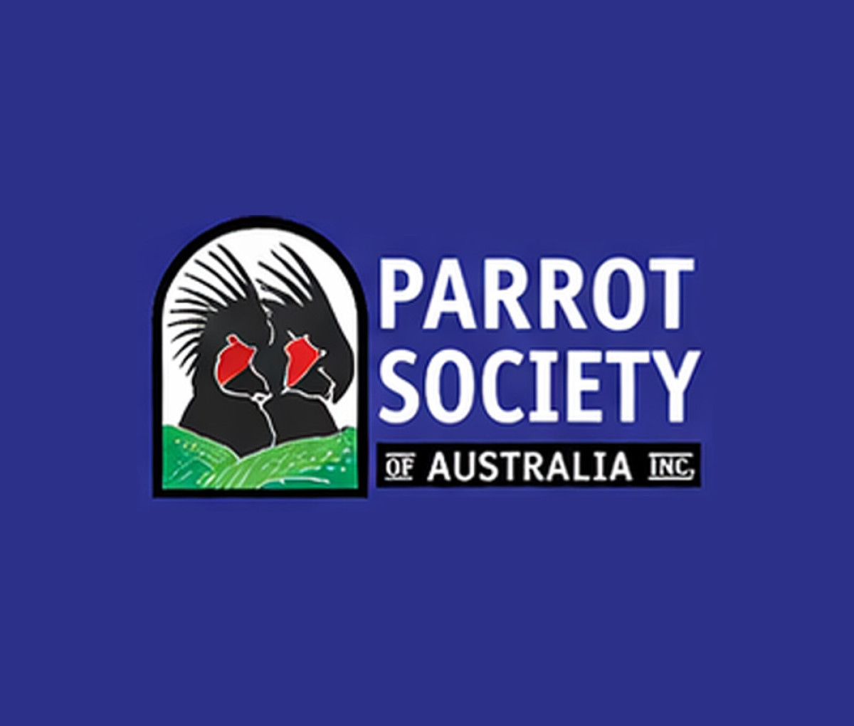 The International Parrots 2026 Convention